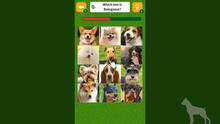 Imagen 4 de Dog Spotting Challenge!