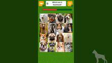 Imagen 5 de Dog Spotting Challenge!