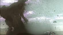 Imagen 79 de Shadow of the Colossus