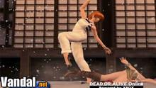 Imagen 9 de Dead or Alive Ultimate