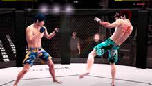 Imagen 4 de Ultimate MMA