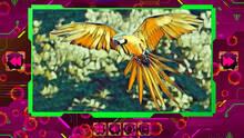Imagen 3 de Twizzle Puzzle: Birds