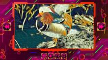 Imagen 7 de Twizzle Puzzle: Birds