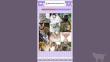 Imagen 4 de Cat Spotting Challenge!