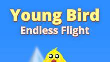 Imagen 5 de Young Bird Endless Flight