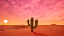 Imagen 2 de Cactus Simulator Remake