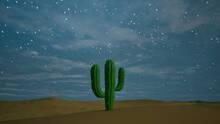 Imagen 6 de Cactus Simulator Remake