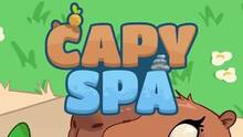 Imagen 27 de Capy Spa