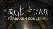 Imagen 3 de True Fear: Forsaken Souls - Part 3