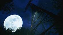 Imagen 24 de The Sinking Forest
