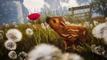 Imagen 41 de Adorable Adventures