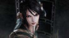 Imagen 260 de Dynasty Warriors 8