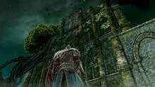 Imagen 111 de Dark Souls II