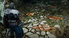 Imagen 131 de Dark Souls II