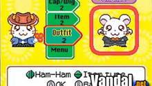 Imagen 3 de Hamtaro: Ham-Ham Heartbreak