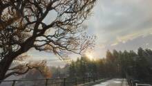 Imagen 19 de The Vanishing of Ethan Carter