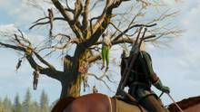 Imagen 312 de The Witcher 3: Wild Hunt