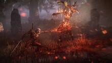 Imagen 83 de The Witcher 3: Wild Hunt