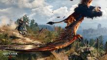 Imagen 258 de The Witcher 3: Wild Hunt