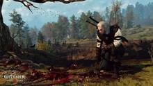 Imagen 261 de The Witcher 3: Wild Hunt