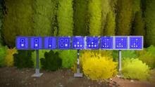 Imagen 99 de The Witness