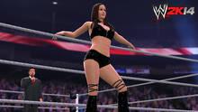 Imagen 60 de WWE 2K14