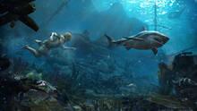 Imagen 87 de Assassin's Creed IV: Black Flag