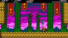Imagen 25 de Shovel Knight: Treasure Trove