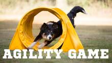 Imagen 2 de Agility Game