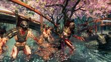 Imagen 5 de Shadow Warrior