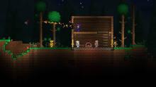 Imagen 25 de Terraria