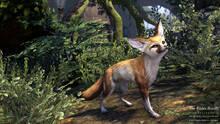 Imagen 74 de The Elder Scrolls Online: Tamriel Unlimited
