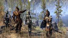 Imagen 135 de The Elder Scrolls Online: Tamriel Unlimited