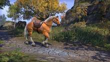 Imagen 136 de The Elder Scrolls Online: Tamriel Unlimited