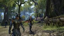 Imagen 85 de The Elder Scrolls Online: Tamriel Unlimited