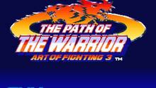 Imagen 2 de The Path of the Warrior Art of Fighting 3 CV