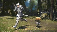 Imagen 752 de Final Fantasy XIV: A Realm Reborn