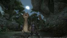 Imagen 872 de Final Fantasy XIV: A Realm Reborn