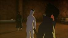 Imagen 17 de Naruto Shippuden: Ultimate Ninja Storm 3 Full Burst