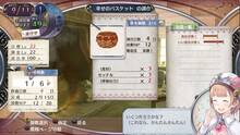 Imagen 57 de Atelier Rorona Plus: The Alchemist of Arland