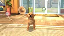 Imagen 15 de PlayStation Vita Pets