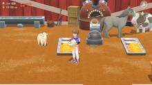 Imagen 28 de Harvest Moon: Home Sweet Home Special Edition
