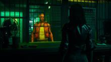 Imagen 20 de NO LAW