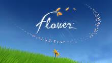 Imagen 20 de Flower PSN