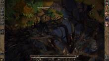 Imagen 73 de Baldur's Gate and Baldur's Gate II: Enhanced Editions