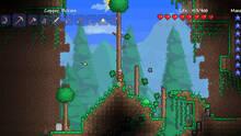 Imagen 38 de Terraria