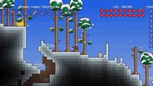 Imagen 39 de Terraria