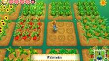 Imagen 7 de Story of Seasons