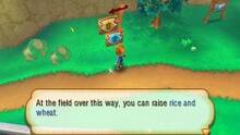 Imagen 10 de Story of Seasons