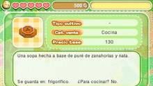 Imagen 69 de Story of Seasons